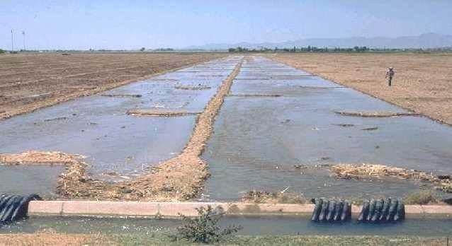 a = vekst fordamping vann tilført http://www.wtamu.edu/~crobinson/irrigation/furgateinfo.