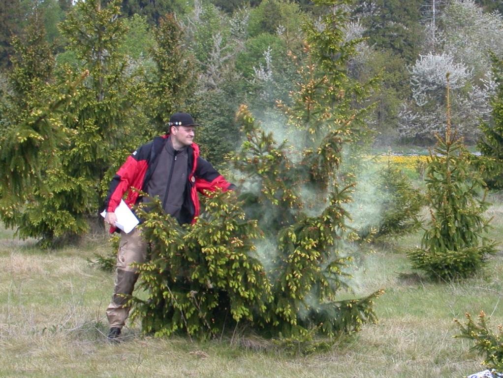 Det er to viktige mål innen alt foredlingsarbeid: (1) Å få genetisk framgang for de utvalgte egenskapene som er med i avls- og foredlingsmålet og (2) Å bevare genetisk variasjon slik at