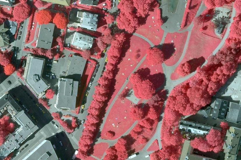 Infrarødt flyfoto over Stensparken Registrering av grøntområder Plan- og bygningsetatens registrering av grøntområder i byggesonen, kan danne grunnlag for arealregnskap der fokus er områdenes bruk,