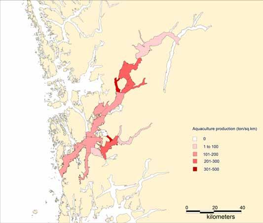 Risikovurdering norsk fiskeoppdrett 2012 93 Figur 7.5.4 Maksimum tillatt biomasse (MTB) av laks og ørret per sjøareal i vannforekomster i Hardangerfjorden uttrykt som tonn/km 2.