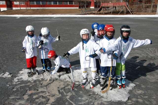 2.2 Behovet til bandy Bandygruppen trenger en kunstisbane for at sporten skal overleve.