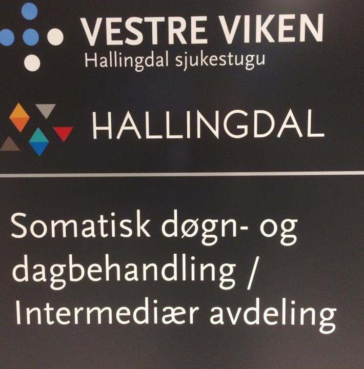 Prosjekt Nye Hallingdal sjukestugu Evalueringsrapport Evalueringsrapport Somatisk døgn og dagavdeling / Intermediær avdeling Hallingdal sjukestugu