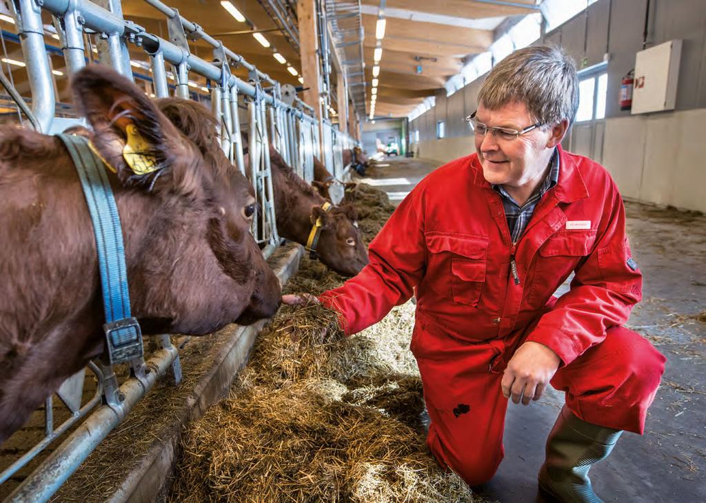 Store penger. Prosjektleder Harald Volden vil bedre lønnsomheten i norsk melkeproduksjon med 150 millioner kroner med større grasavlinger og bedre kvalitet som øker dyras grovfôropptak.