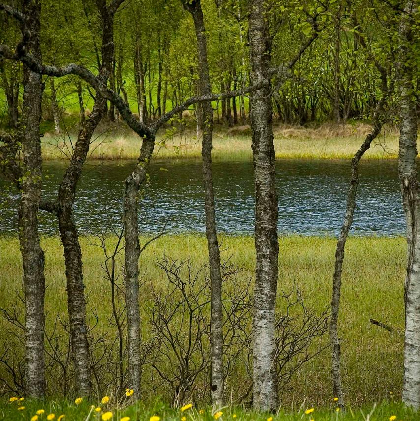 Forsterket klimainnsats Vi bor i en verden i endring, og det legges stadig større vekt på at våre