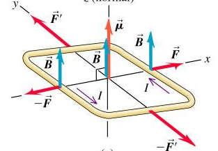 Strømsløyfe innrettes i et magnetisk felt, slik vil også magnet (f.eks.