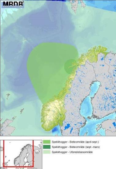 Erfaringer og generelle betraktinger beskrevet her er vurdert som relevante for norske forhold. Originalkilder er referert.