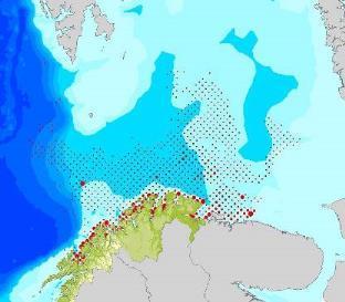 Barentshavet. Temperatur og næringsforhold i Barentshavet er begrensende for larvenes vekst, slik at lodda ikke klarer å gjennomgå metamorfose den første sommeren.