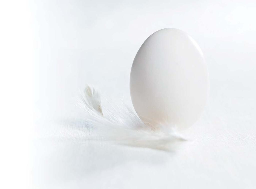 Egg og eggprodukter Egg er en god proteinkilde som metter og er full av viktige næringsstoffer. er kroppens byggeklosser, og er særlig viktig under vekst og dermed for barn og unge.