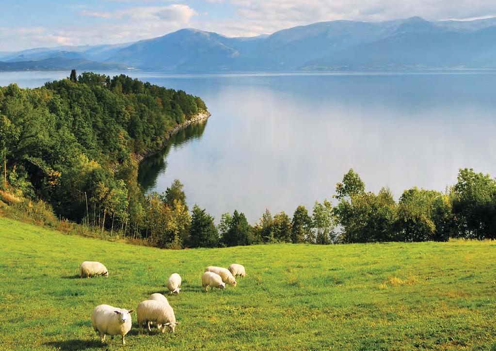 Hvem er vi Vi er bønder. ortura er et samvirke og er eid av 18.204 aktive norske bønder.