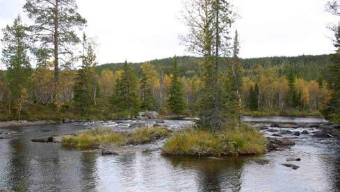 Bilde 3. Terskel 8b Bilde 4. Terskelskisse Tersklene i Tevla er forsøkt plassert på naturlige steder i elva hvor det er endring av fallforhold, utløp av loner, etc.