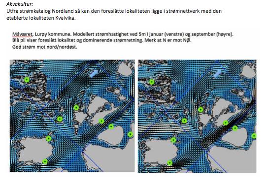 Strømmodell Nordland om Måvær Ut fra Strømmodell Nordland kan Måværet ligge i strømnettverk med den etablerte lokaliteten Kvalvika.