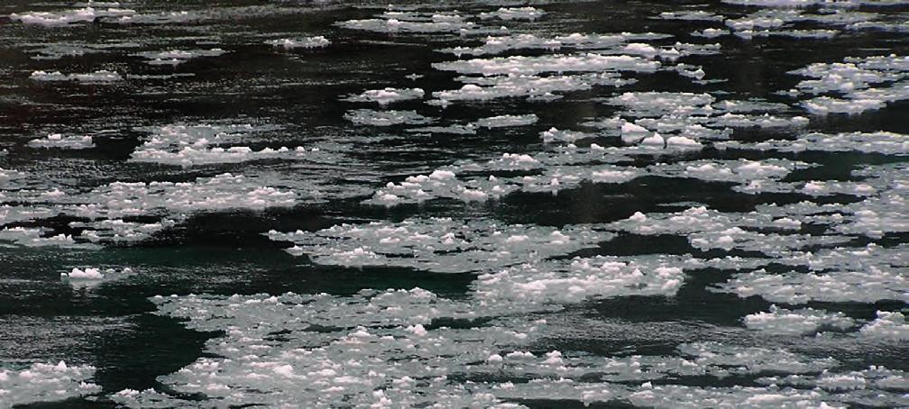 ste isen dannes langs strendene og på rolige områder som er lite påvirket av vind. Så snart det er dannet et sammenhengende isdekke, vil isen ha en temperatur på 0 C på undersiden.