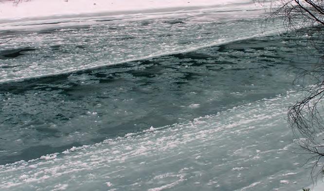 4.2 Is på elver 4.2.1 Islegging Isdannelse på elver er avhengig av vannhastigheten og de fysiske karakterene til elveleiet. Elvene islegges først der fallet er lite og elveleiet er bredt.