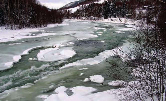 4.2.5 Isoppstuving og isreduksjon Vannstanden i en elv om vinteren vil ofte variere mye, selv om vintertilsiget synker svakt og varierer svært lite.