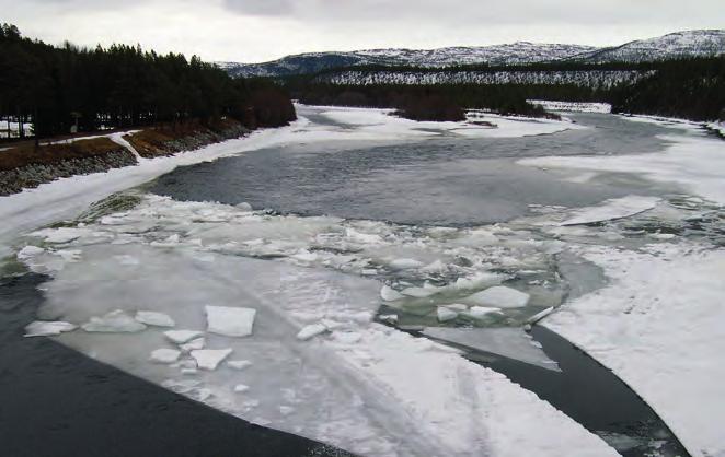 4.2.8 Isløsning og vårisgang Det er større eller mindre råker i strykpartiene på de fleste elver det meste av vinteren.
