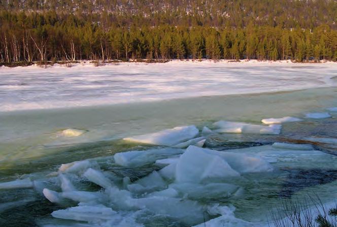 På elver vil isen tæres både ovenfra og nedenfra. Vannet vil ikke lenger bli underkjølt, men snarere få noe overtemperatur, spesielt i solskinn på dagtid. Økende vannføring gir turbulens.