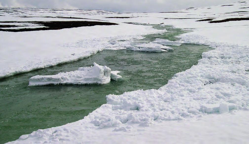 Isen her kan iblant smelte på stedet, men kan også brytes opp mens den ennå er kraftig, og gi næring til nye isganger nedover elva. Isproppen ligger her inn over veien.