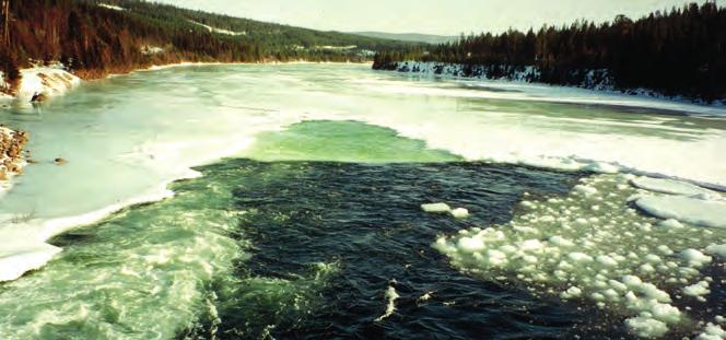 Vanntemperaturen i Glomma ved Høyegga er ganske nær 0 C, og vanntemperaturen ved utløpet av Rendalen kraftverk tilnærmet den samme.
