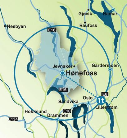 1 Bakgrunn Ringerike utvikling AS (Ru) ble etablert 6.