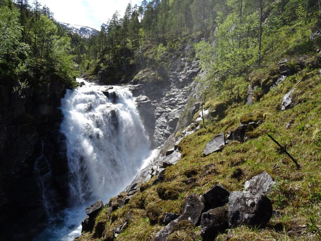 Klepsland Utsikt sørover (fra nær topp 306)