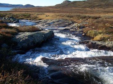 Figur 16. Uppnesåi sett fra svabergene og nordover mot Mår ett stykke ovenfor hyttene, 16.09.11. Det var svært lite yngel og småfisk her, men en del stor fisk i noen av kulpene. Storvikbekken, 21.