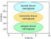 nord-vestre delen og nær anleggsområdet ved Synken (Figur 3).