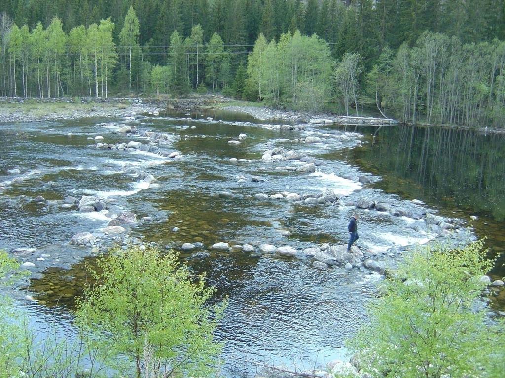 Celleterskel i et større