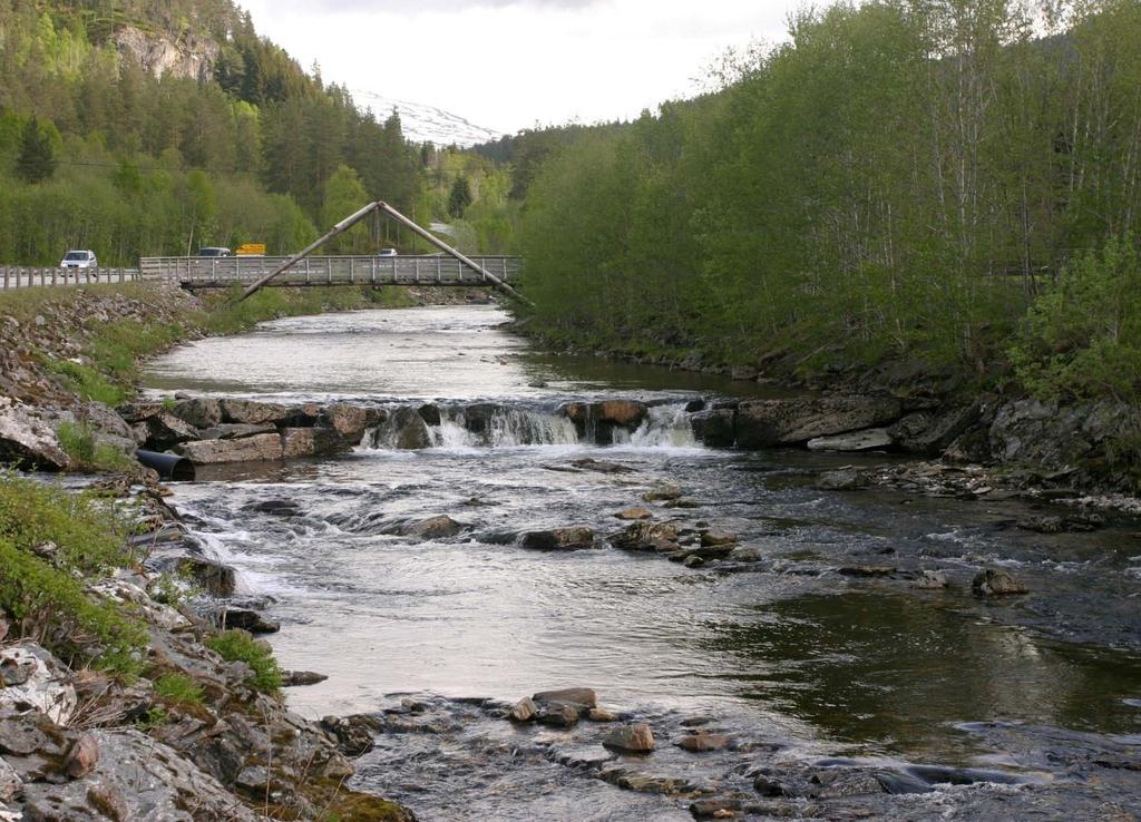 Vanligste målsetting er