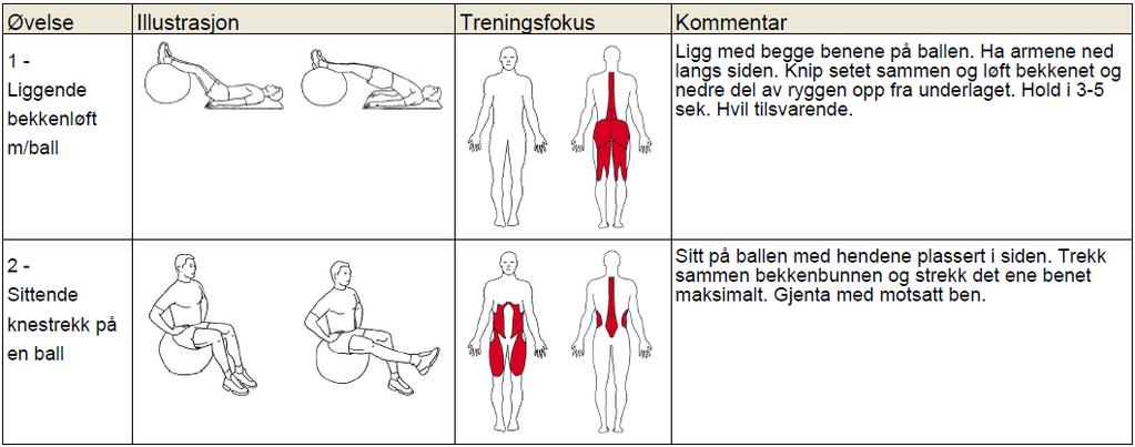 Om treningsprogrammet: Som skrevet tidligere er det individuelt i forhold til når en kan begynne vanlig trening etter fødselen, variasjonene avhenger for eksempel av hvordan svangerskap og fødsel