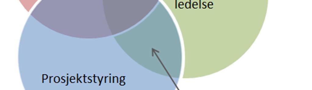 byggherresiden må beherske alle disse fagområdene. Studien kunne omtalt alle områdene som prosjekteringsledelse.