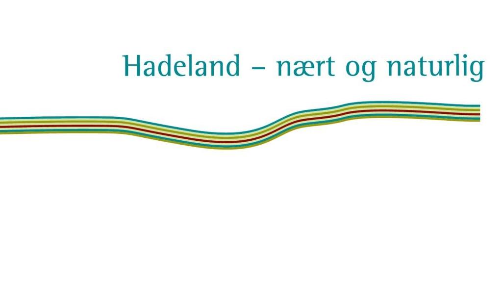 Regionrådet for Hadeland