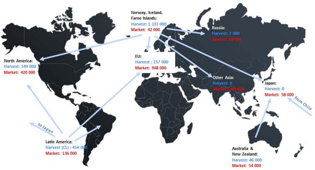 Global produksjon og handelsflyt av laks