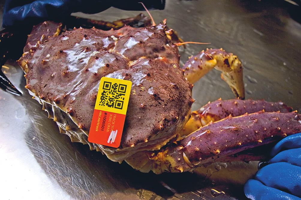 2015 2016 Meld. St. 10 Boks 5.4 Norway King Crab Norway King Crab AS, som høsten 2015 åpnet et levendelagringshotell ved Gardermoen, har utarbeidet en sporingsløsning som gir 100 pst.