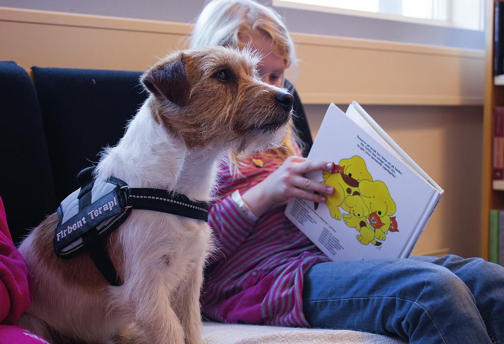 PERFEKTE JULEGAVER Lesehunden Lucy følger nøye med når barnet leser for henne.