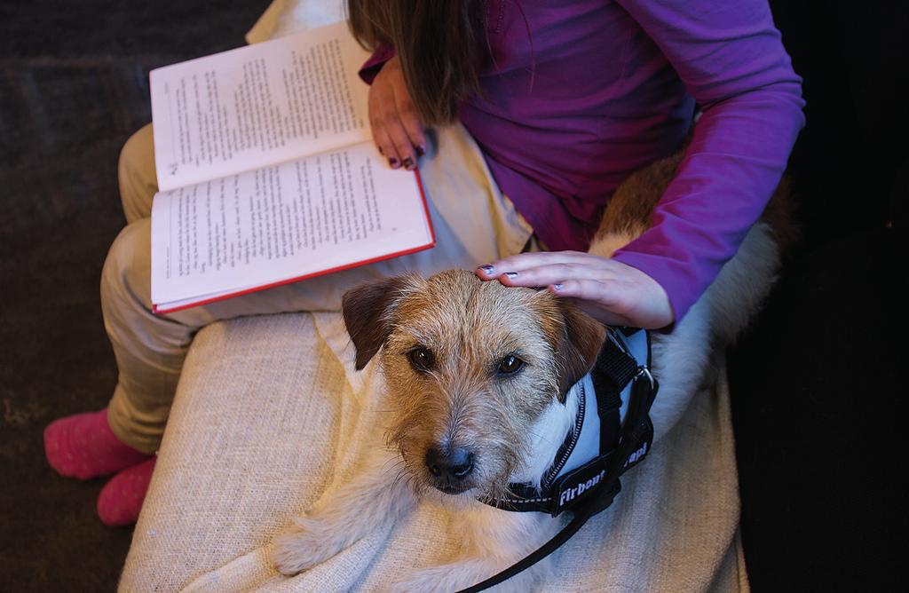 D (Reading Education Assistance Dogs). For å få sertifiseringen må deltakerne gå gjennom en praksisdel og en skriftlig prøve. Det tok to år fra Helle Karin startet til hun var ferdig med utdannelsen.