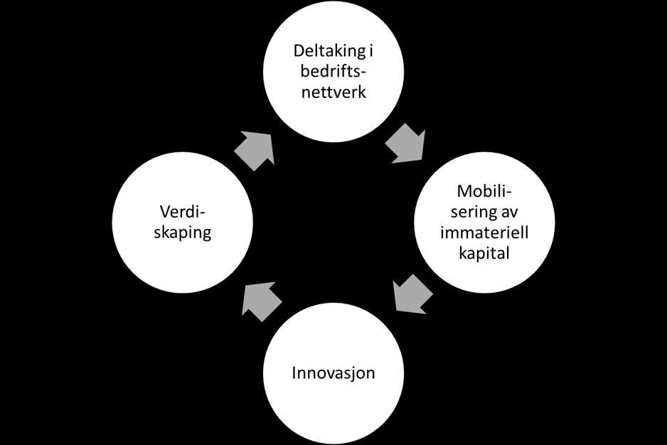 Betydninga av immateriell