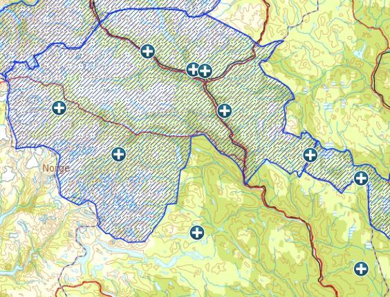 Kvoter lisensfelling og antall felt jerv i Oppland Tap av sau og tamrein I 2016 ble det registrert 96 sau og lam (dokumentert eller antatt)