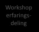 Workshop erfaringsdeling