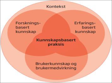 Jobber vi kunnskapsbasert på min arbeidsplass?