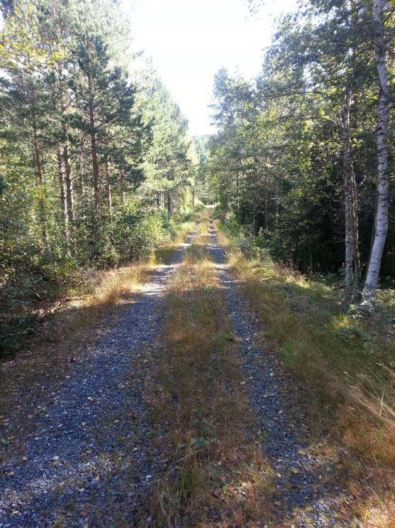 Veivedlikeholdskontroll 2017 2013: Åmli 2015: Gjerstad og Risør 2017: