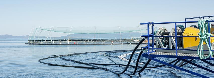 Klyngen Sør-Vestlandet Fiskefôr Teknologi Oppdrett Stamfisk og settefisk Forskning og organisasjoner Skretting Biomar EWOS Innovation Skretting ARC AKVA Group Steinsvik Gruppen Egersund Group Mørenot