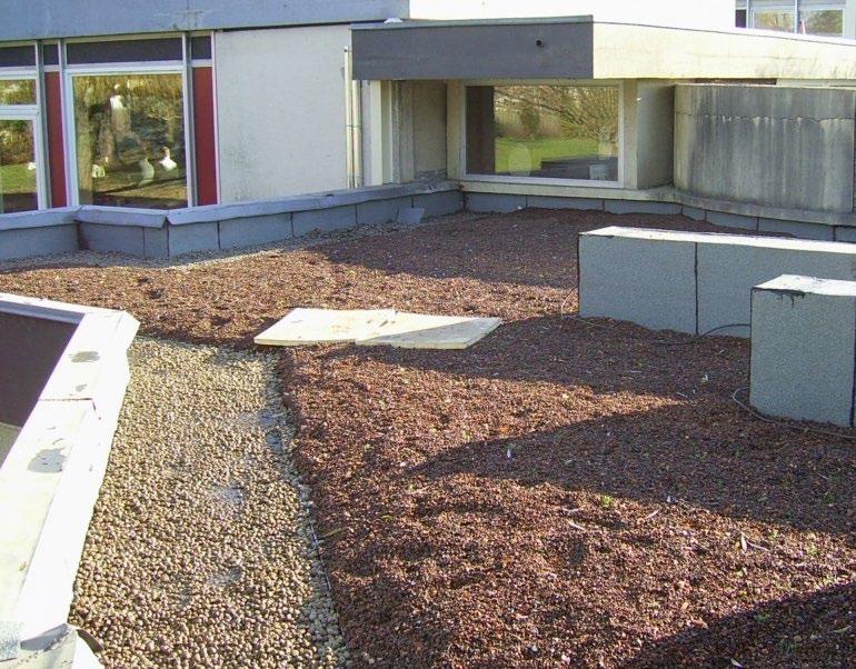 EKSTENSIVE GRØNNE TAK Ekstensive grønne tak kjennetegnes av den lave vekten på grunn av begrenset tykkelse.