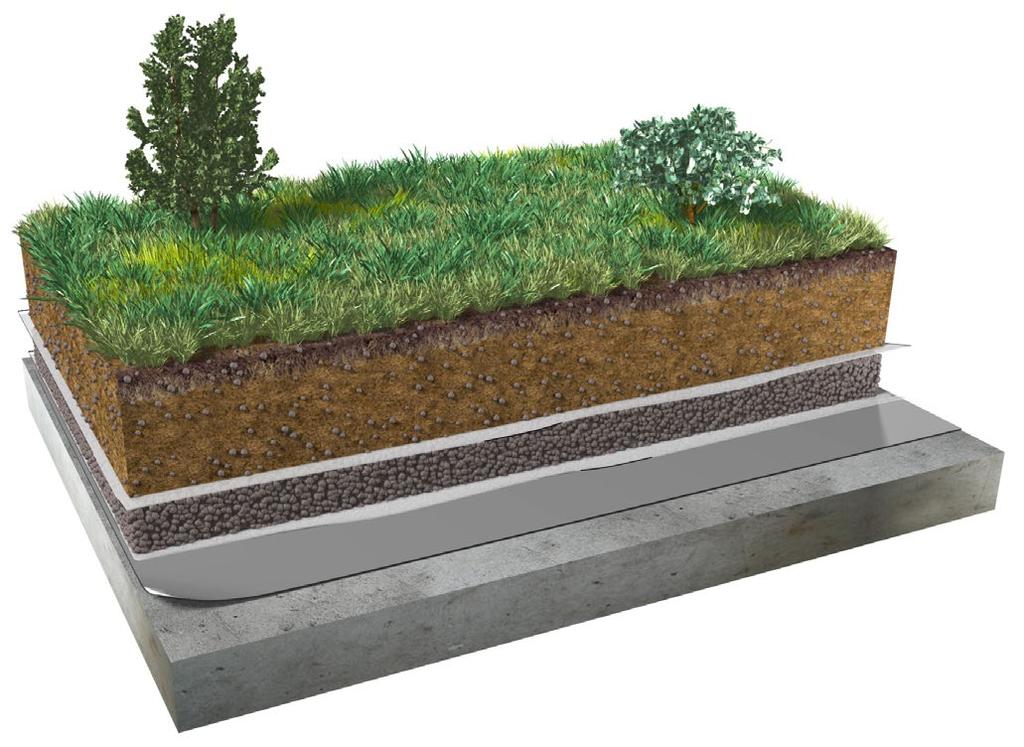 INTENSIVE GRØNNE TAK Intensive grønne tak brukes gjerne som hager, på samme måte som hager på bakkeplan.