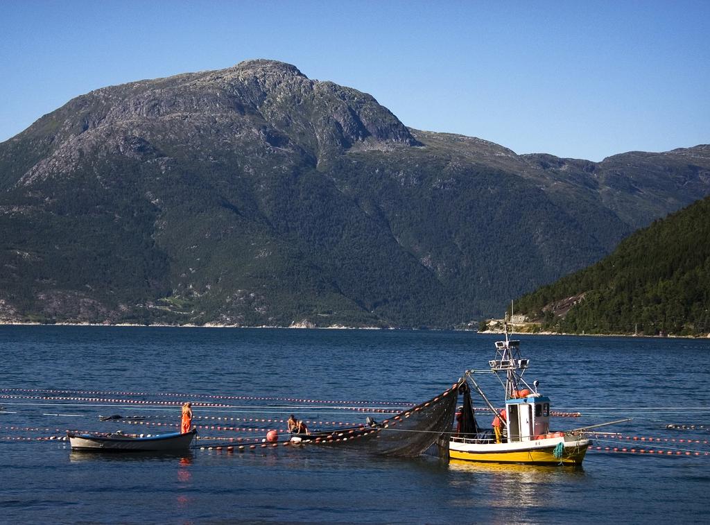 2014 Hardangerkonferansen