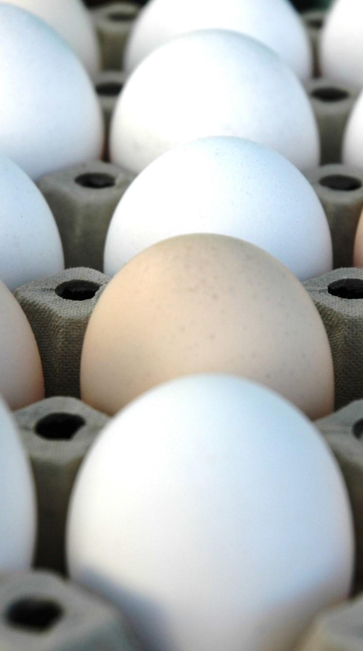 Marknadsbalansering egg og korn Avvikle samvirkebasert marknadsbalansering Framleis finansiere verkemiddel med omsetjingsavgift Egg: