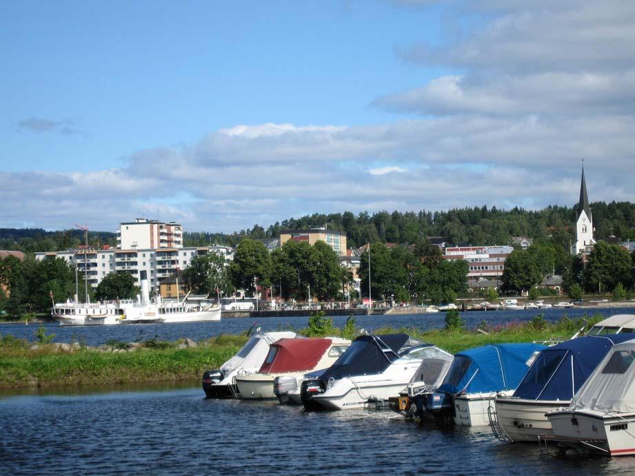 RAPPORT LNR 5492-2007 Hamar båthavn - Tjuvholmen Vurdering av miljøgifter i sedimenter og