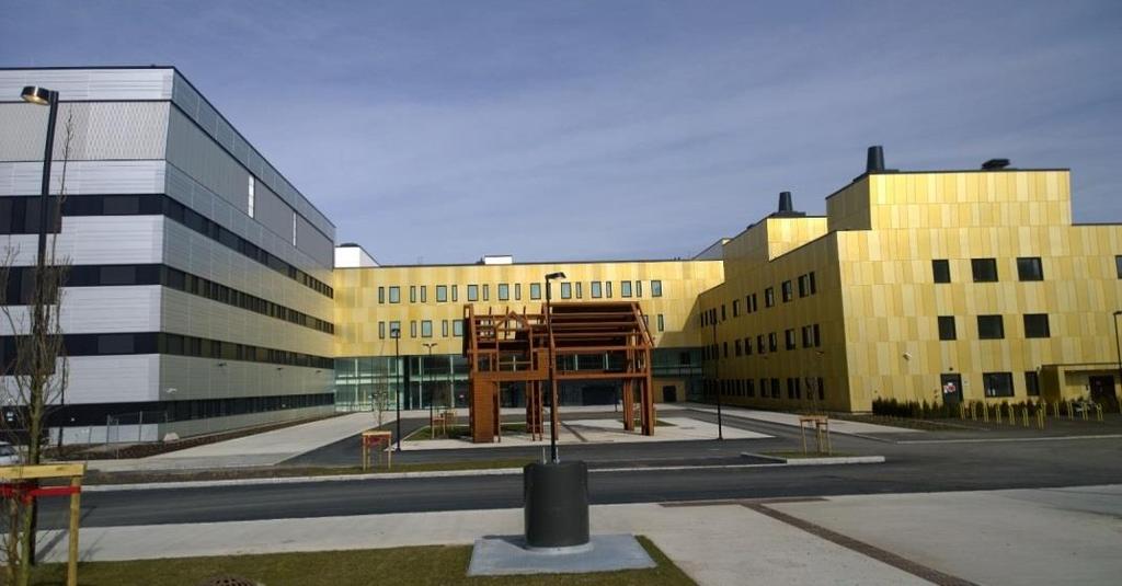 Hva jeg vil snakke om Bakteppet: Pasientgruppene og tjenestetilbudet i Sykehuset Østfold