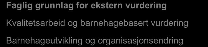 Ståstedsanalysen i god tid før tematilsynet tar til. Barnehagen i samråd med tilsynsparet velger et fokusområde for tematilsyn i samsvar med resultat fra ståstedsanalysen.