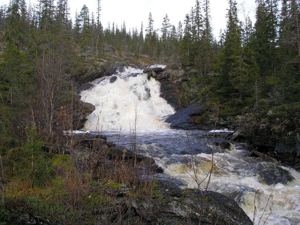 3 Litjvasselva: Vi planlegger også å bygge ut Litjvasselva.