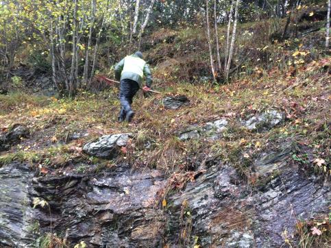 Figur 2: Rydding av dragehodelokalitet på Houm, Gausdal (Foto: Tonje Berland, 2017) Rebne SV Kommune: Vestre Slidre Naturbase id: BN00109695 I søknaden står Kvenene oppgitt som aktuell lokalitet for